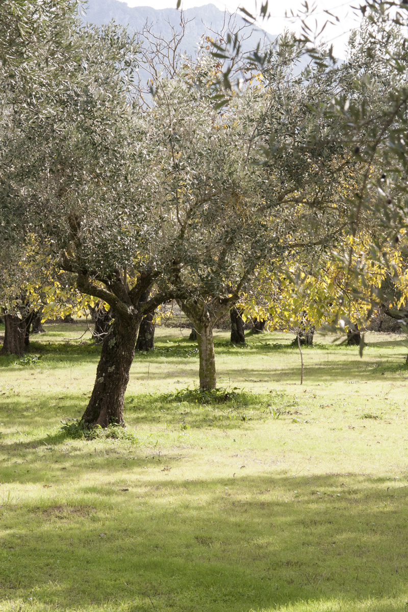 We have plenty of time to wait for the perfect time to crop